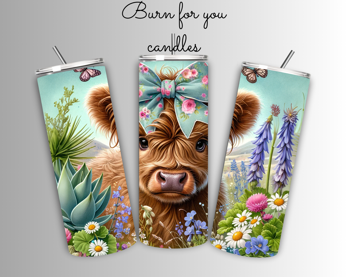 Highland cow in field