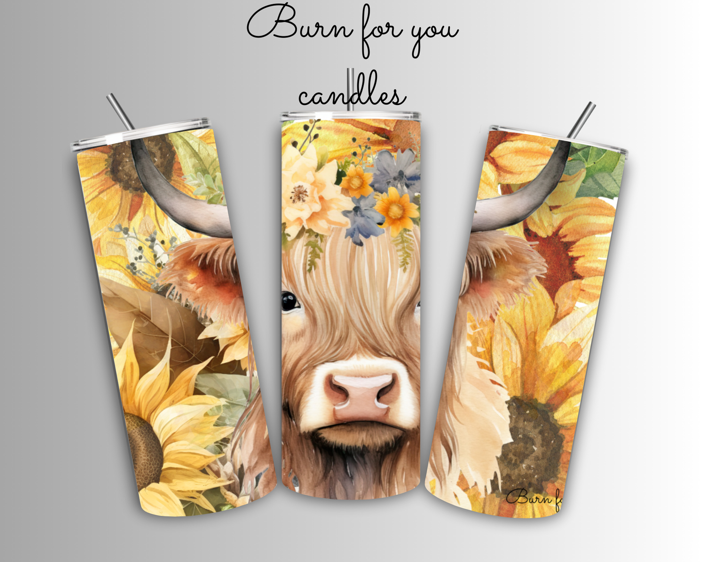 Highland cow and sunflowers